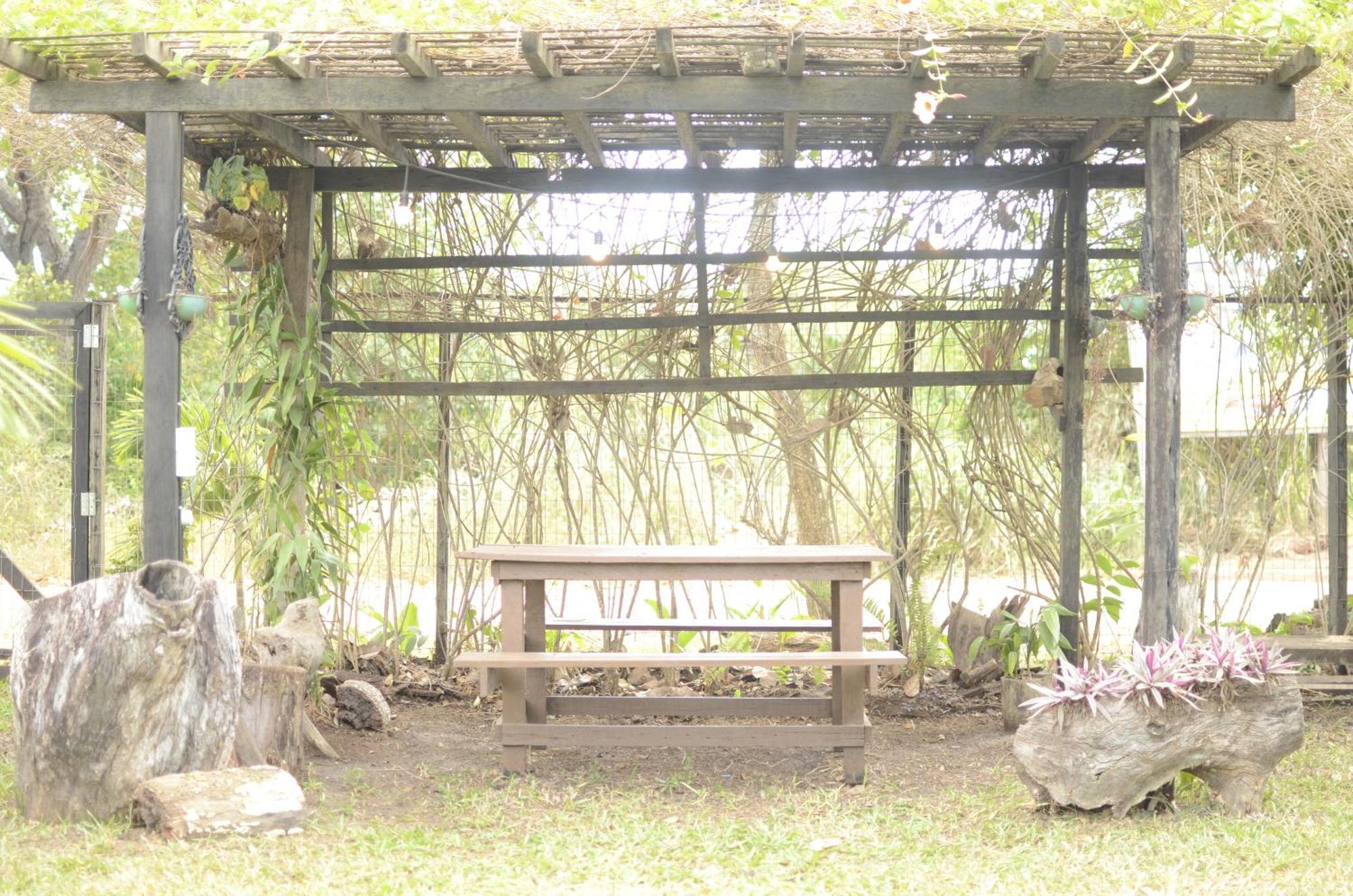 Espaco Saire - Alter do Chão Ngoại thất bức ảnh
